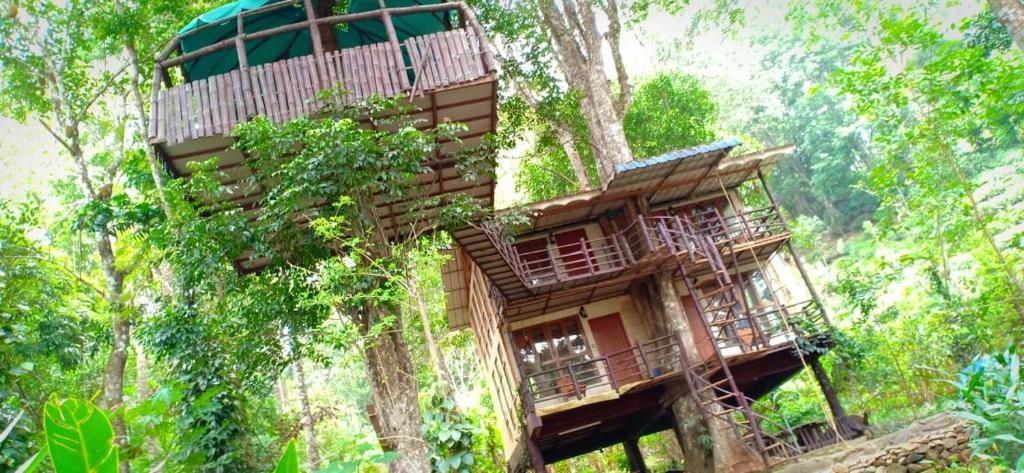 tree house in coorg