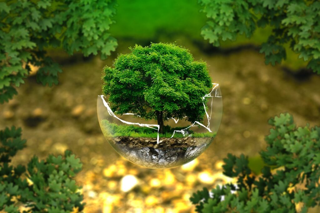 Save Tree Save Earth