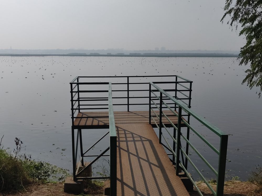 Okhla Bird Sanctuary Noida 