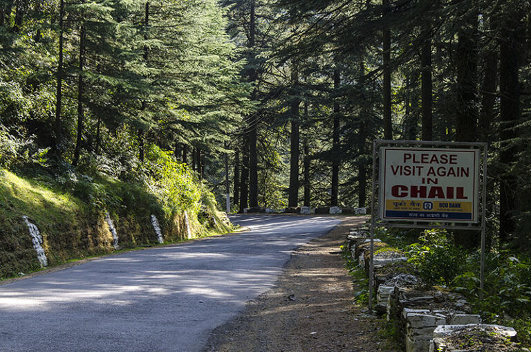 How to Travel from Chandigarh to Chail: Map, Route - indiachal